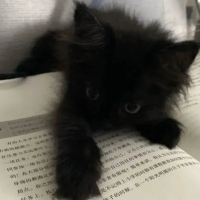 _cryzis's profile picture. self taught developer