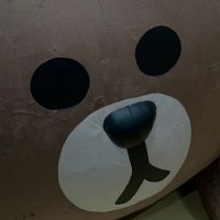 jisoo (@qhbce) 's Twitter Profile