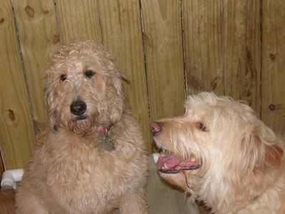 ab292's profile picture. working for a living