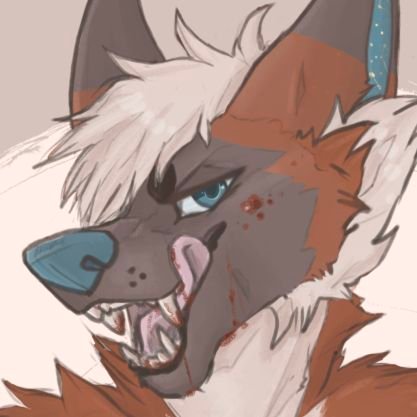 Orion ππ¦ π FE Profile