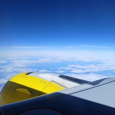 RafaelZamo98325's profile picture. Respetuoso y con deseos de tener nuevas experiencias 😜🤪🤭