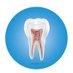 Royal Dental Lab (@dentlab_royal) Twitter profile photo Royal Dental Lab (@dentlab_royal) Twitter profile photo