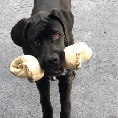 BAaronReich's profile picture. 