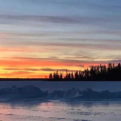 Canadian🇨🇦 currently running loose, unfiltered, shit posting while trying to navigate humanity.