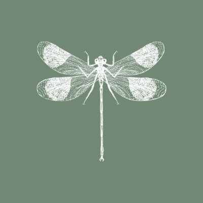 yae_ntm's profile picture. 成人済20↑/腐/軍師落ちの🔰/基本雑食/好き→タソ特に尊/文/CP→土尊/雑諸/雑高/高諸/RP多めの文字書き/たまにお絵かき/基本無言フォロー/
感想ご意見こちらから→https://t.co/7wLkUzy9fd