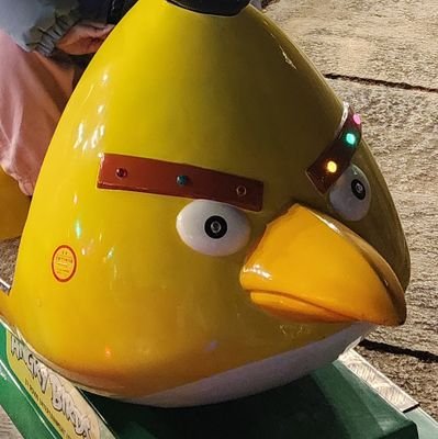 anna2593778710's profile picture. 