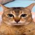 someguy (@someguyuhh) Twitter profile photo someguy (@someguyuhh) Twitter profile photo