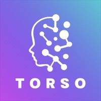 Torso (@torso_x) 's Twitter Profile