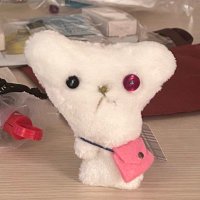 すし (@_____osyushi) 's Twitter Profile Photo すし (@_____osyushi) 's Twitter Profile Photo