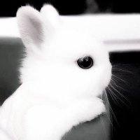 monday (@owintur) Twitter profile photo