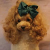 fiona (@ihatethusapplol) 's Twitter Profile