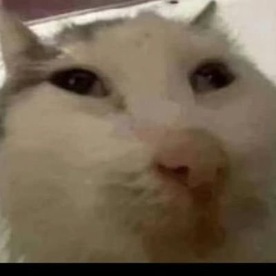 dolomit_'s profile picture. Te odio cavi por tu culpa soy un fracasado