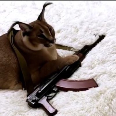 nukeafrika124's profile picture. 