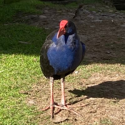 NZ 縣千さま➕雪組ファン🐄❄️お互いを尊重し思い合える世の中が続き、宝塚歌劇団がこれからもずっと人々に夢と希望を与え続けられますように。🌹そして縣千さまの源氏物語、夢の浮橋の実現する日を、遠くから心よりお待ちしています。いつも国を越えて元気を届けて下さり本当に感謝です🥲