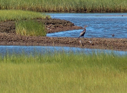 ACKFieldStation's profile picture. The UMass Boston Nantucket Field Station is a environmental science field station located on Nantucket Island on 107 harborfront acres.