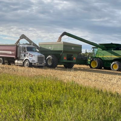I’m a Chartered Accountant at MNP specializing in Agriculture. Operate a grain farm with my husband. Mother to two amazing girls. #tweetsaremyown