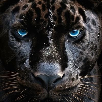 yeeet636549's profile picture. She only