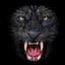 Black tiger (@ehsan39897046) Twitter profile photo Black tiger (@ehsan39897046) Twitter profile photo