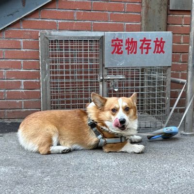 tayoukashi's profile picture. 