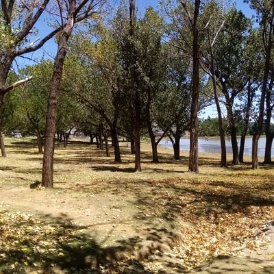 KheleTseke56747's profile picture. 