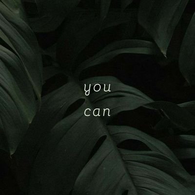 kalash440312's profile picture. 