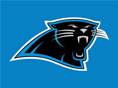 Here to cheer my Carolina Panthers on Let's Go Panthers