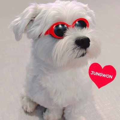 ENHYPENのJUNGWON大好き40↑ 楽しくENGENEやってます🥰 ENHYPEN7人大好き💕 btsアカウントはこちら@jjjv0613army