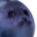 poot (@piocatap) Twitter profile photo poot (@piocatap) Twitter profile photo