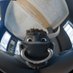 Odis the Bull (@_13254_) Twitter profile photo Odis the Bull (@_13254_) Twitter profile photo