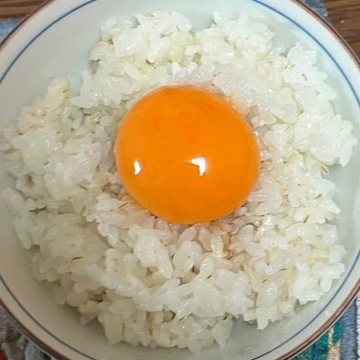 junki_daisuchi's profile picture. ぼくは めがねが だいすき です