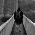 dorrmarcell97 (@dorrmarcell97) Twitter profile photo dorrmarcell97 (@dorrmarcell97) Twitter profile photo