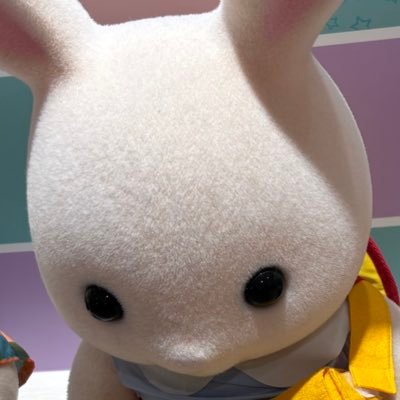 おもちさんのプロフィール画像