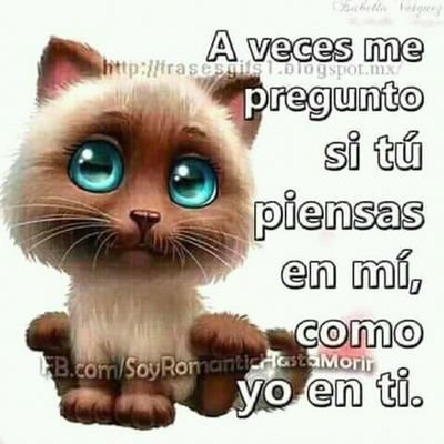 jeovanny1979's profile picture. mirenlo en mi facebook