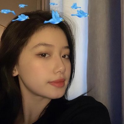 NFT爱好者