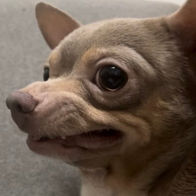 traderjordiii's profile picture. Emotionless

Christian/Range trader🙇🏻‍♂️