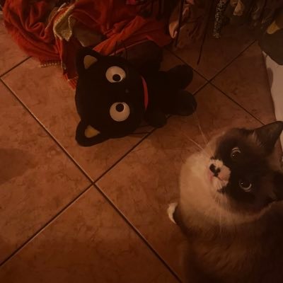 vuelvapormi's profile picture. land back