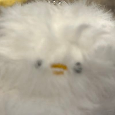 多忙な猫(LOCO)さんのプロフィール画像