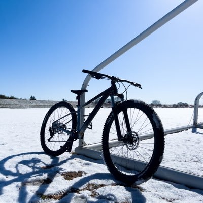 ArcFenix2's profile picture. 30↑茨城   猫とグミが好き