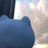 syk_boc0407