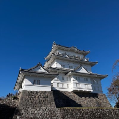 当アカウントは利用規約に従いスパムツイートは一切しません。また動画のポストについてはX社が規定する引用元を明記したツイートを行っております。【PR】