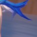 123 (@hdm8k) Twitter profile photo 123 (@hdm8k) Twitter profile photo
