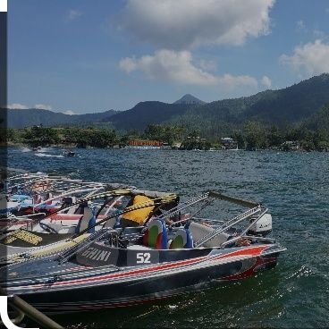 celara791's profile picture. 