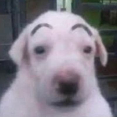 vdd822's profile picture. 