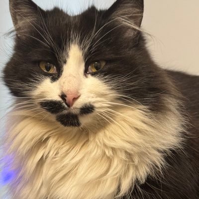 TehRenderr's profile picture. 🇧🇬 🇧🇬 🇧🇬