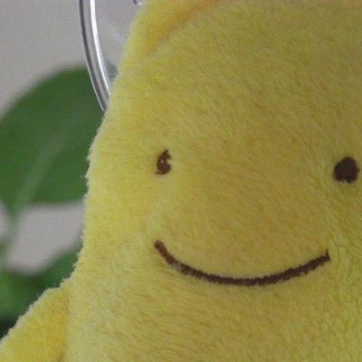 genbunkobun's profile picture. 書庫の整理整頓係