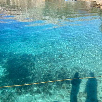 bearwithmenot's profile picture. 