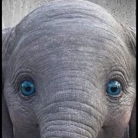 haluk mecit kural (@macig70) 's Twitter Profile