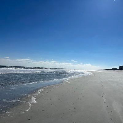 scottynochips's profile picture. 