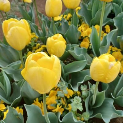 26tvxq218's profile picture. 