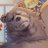 BenBiggerZ's profile image